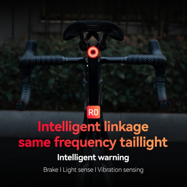Luz Trasera R0 Sensor de Freno Tapón de Manubrio USB Inteligente ROCKBROS
