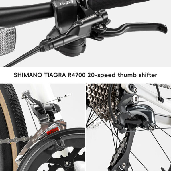 Bicicleta de Ruta P2M Celadon Green Rockbros ROCKBROS