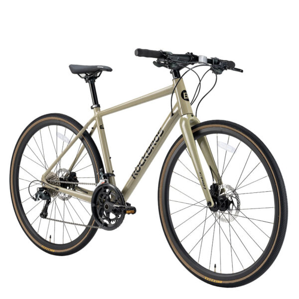 Bicicleta de Ruta P2M Celadon Green Rockbros ROCKBROS