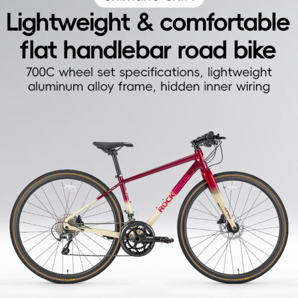 Bicicleta de Ruta P2M Bronce/Morado Rockbros ROCKBROS
