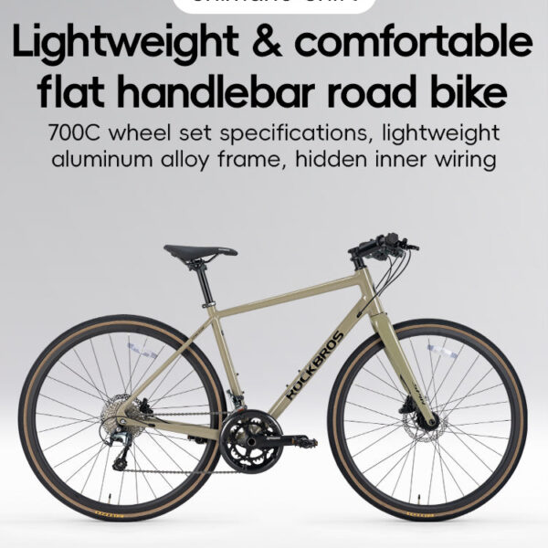 Bicicleta de Ruta P2M Celadon Green Rockbros ROCKBROS