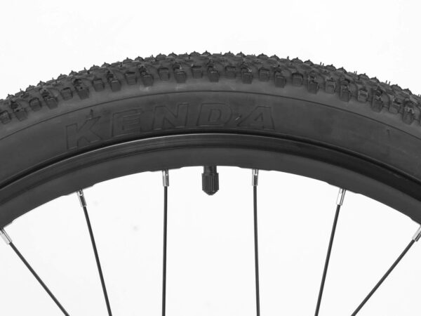 Bicicleta Darwin IV Aro 24 Titanio ROCKBROS - llanta KENDA 24x1.95
