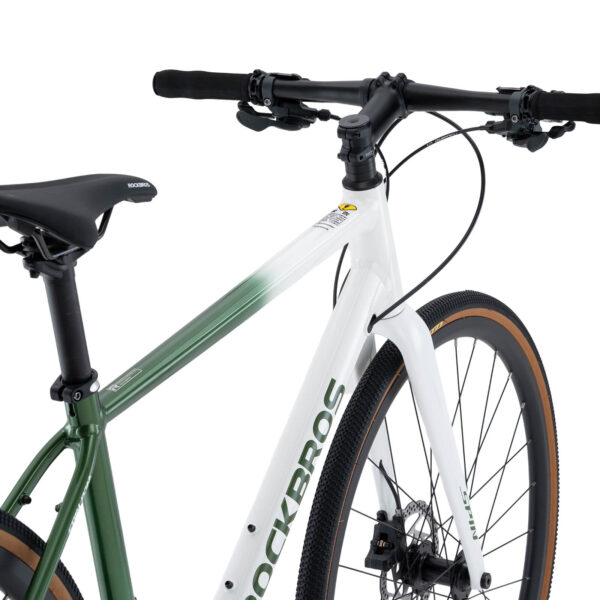 Bicicleta de Ruta P2M Verde/Blanco Rockbros ROCKBROS